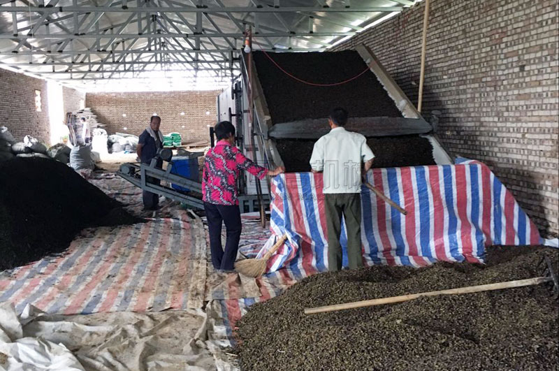 山西絳縣客戶烘干連翹現場