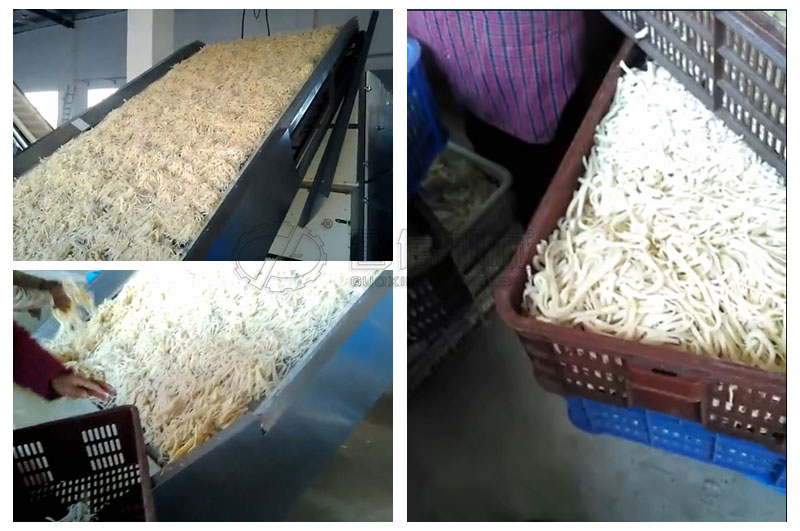 湖北麻城烘干豆絲客戶(hù)現(xiàn)場(chǎng)